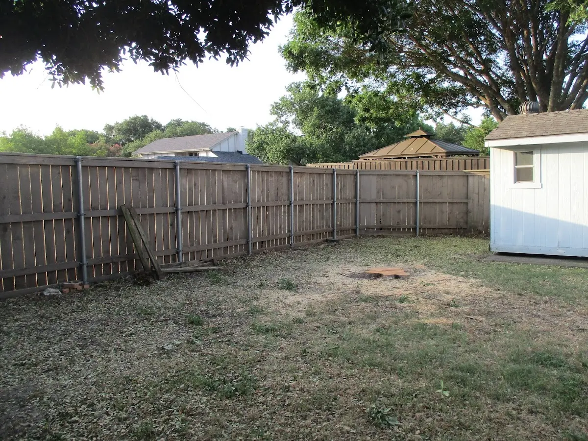 Cleared yard after professional tree removal in Cascadia