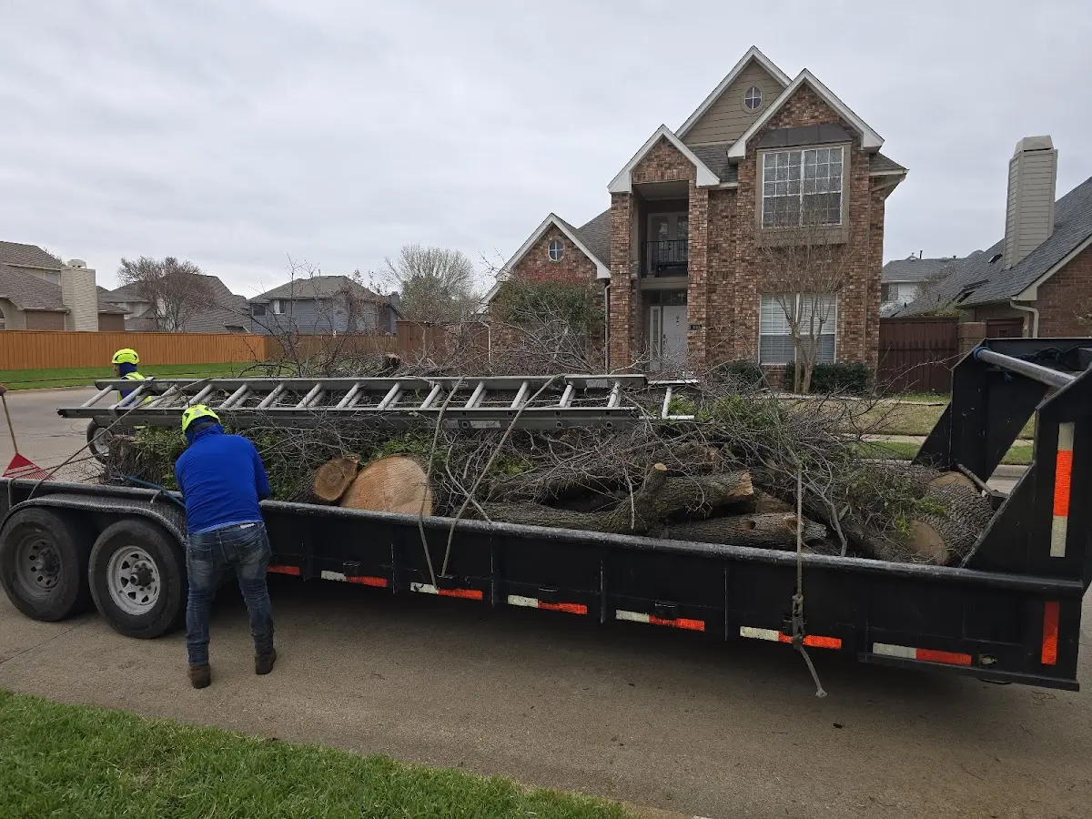 Expert Tree Fertilization with proper safety equipment in Cascadia
